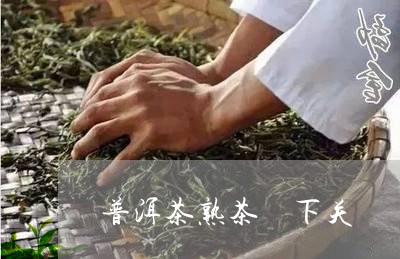 普洱茶熟茶 下关/2023041021513